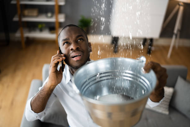 Best Flood restoration services  in Lakeland Village, CA