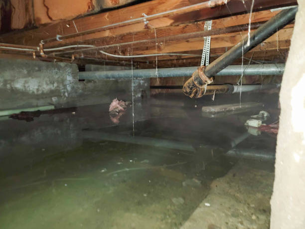 Best Carpet water damage restoration  in Lakeland Village, CA