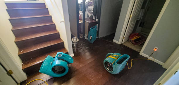 Best Water damage restoration insurance claims  in Lakeland Village, CA