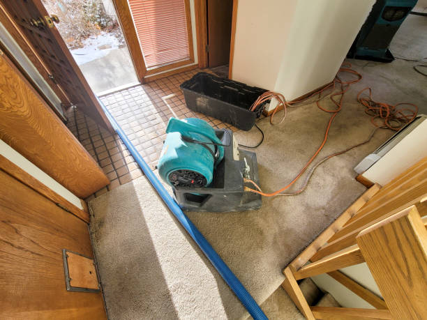 Best Water damage restoration experts  in Lakeland Village, CA
