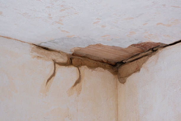 Best Water damage restoration company  in Lakeland Village, CA