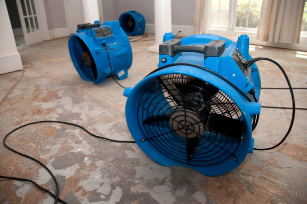 Carpet water damage restoration in Lakeland Village, CA