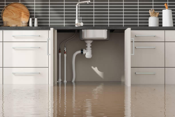 Best Fire Damage Restoration  in Lakeland Village, CA