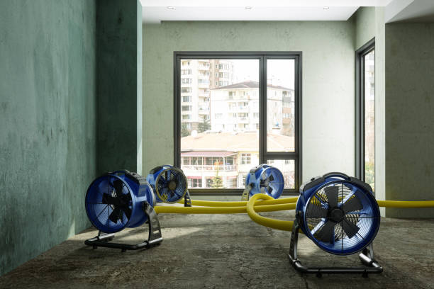 Best Residential water damage restoration  in Lakeland Village, CA