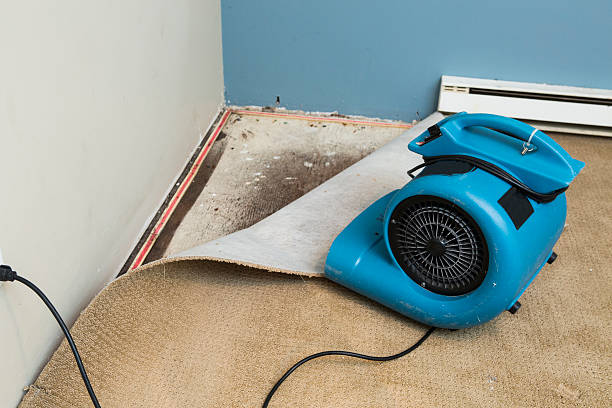Reliable Lakeland Village, CA Water damage restoration Solutions